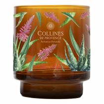 Свічка Collines de Provence Квітка алое 220г