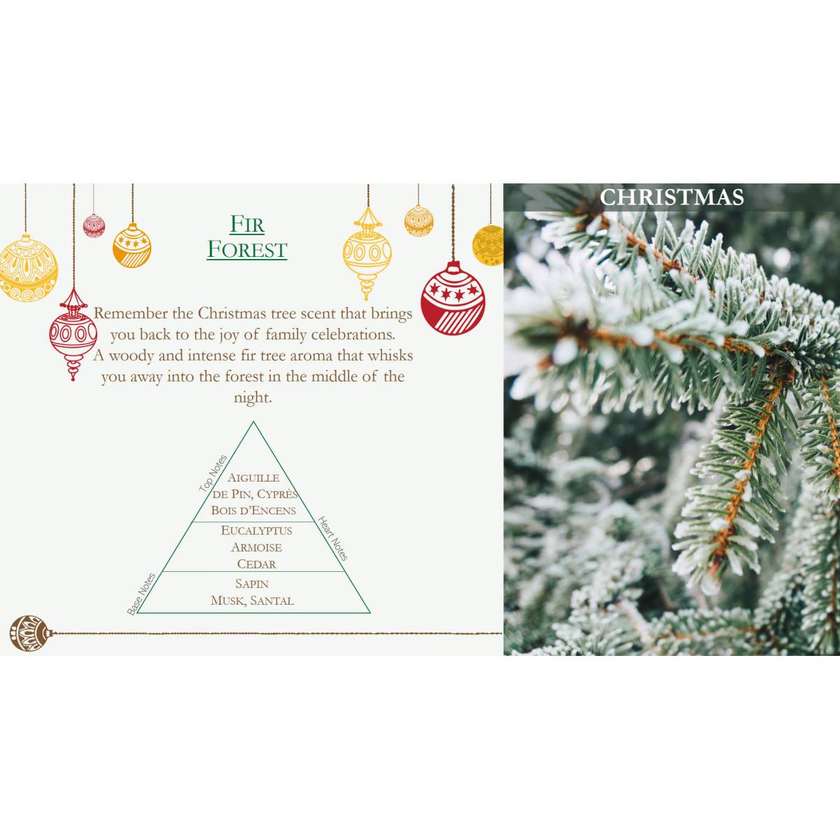 Свічка Collines de Provence Ялиновий ліс Christmas 75г